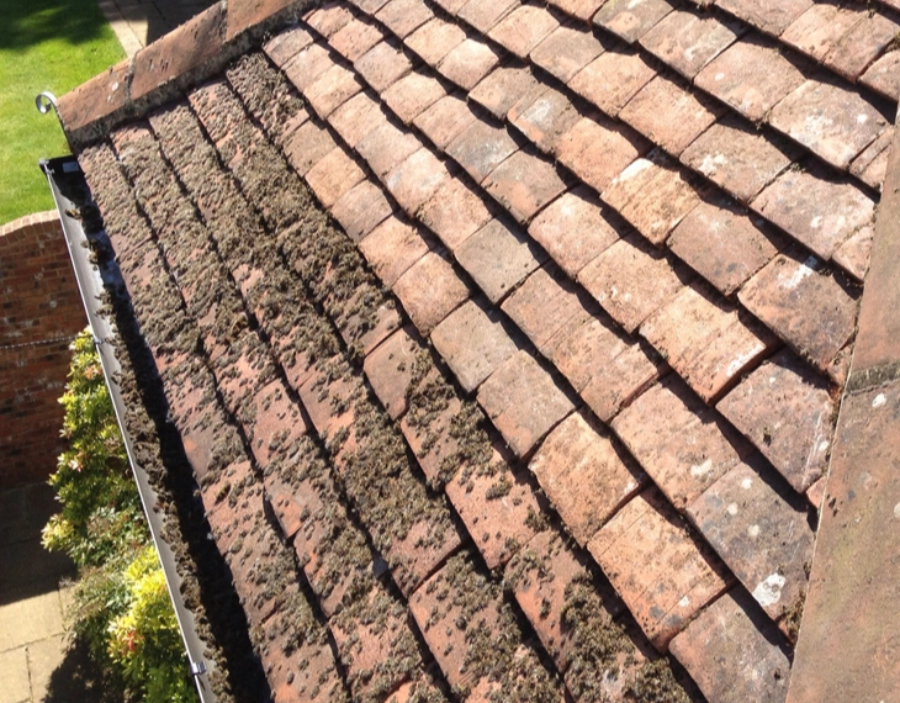 Image for Premier Roof Clean services for Roof Cleaning and has to offer  Soffits & Guttering Cleaning  Roof Cleaning  Conservatories  Fascias Roof Cleaning in Woking  premier roof clean Roof Cleaning  Moss Removal